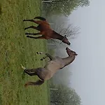 Kuznia Nowica Uscie Gorlickie