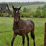 Lägenhet Kuznia Nowica *