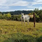 Kuznia Nowica Lägenhet Uscie Gorlickie