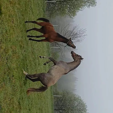Kuznia Nowica Uscie Gorlickie